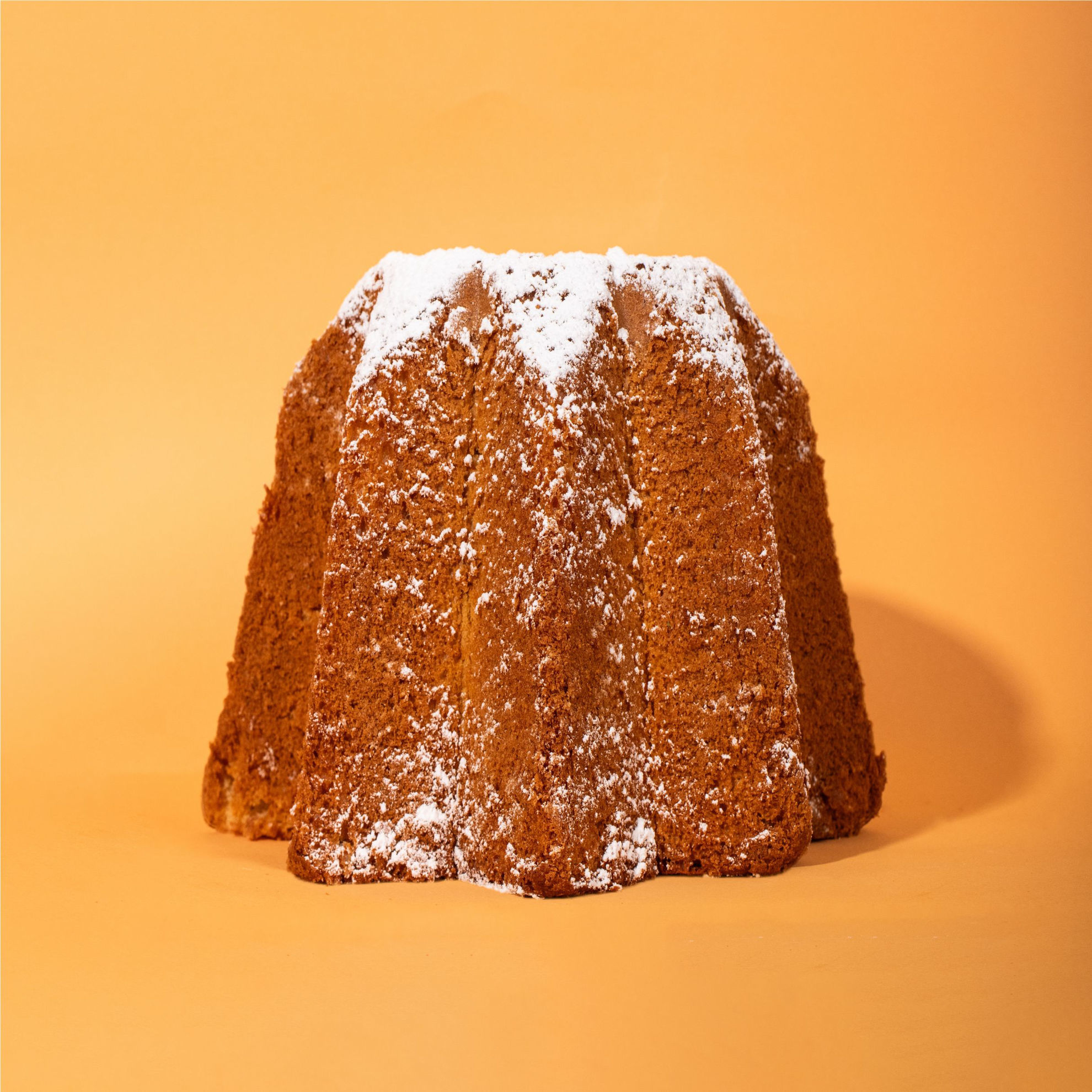 Immagine di Pandoro